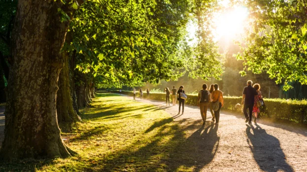 Wandelaars in park