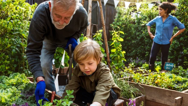 tuinieren moestuin